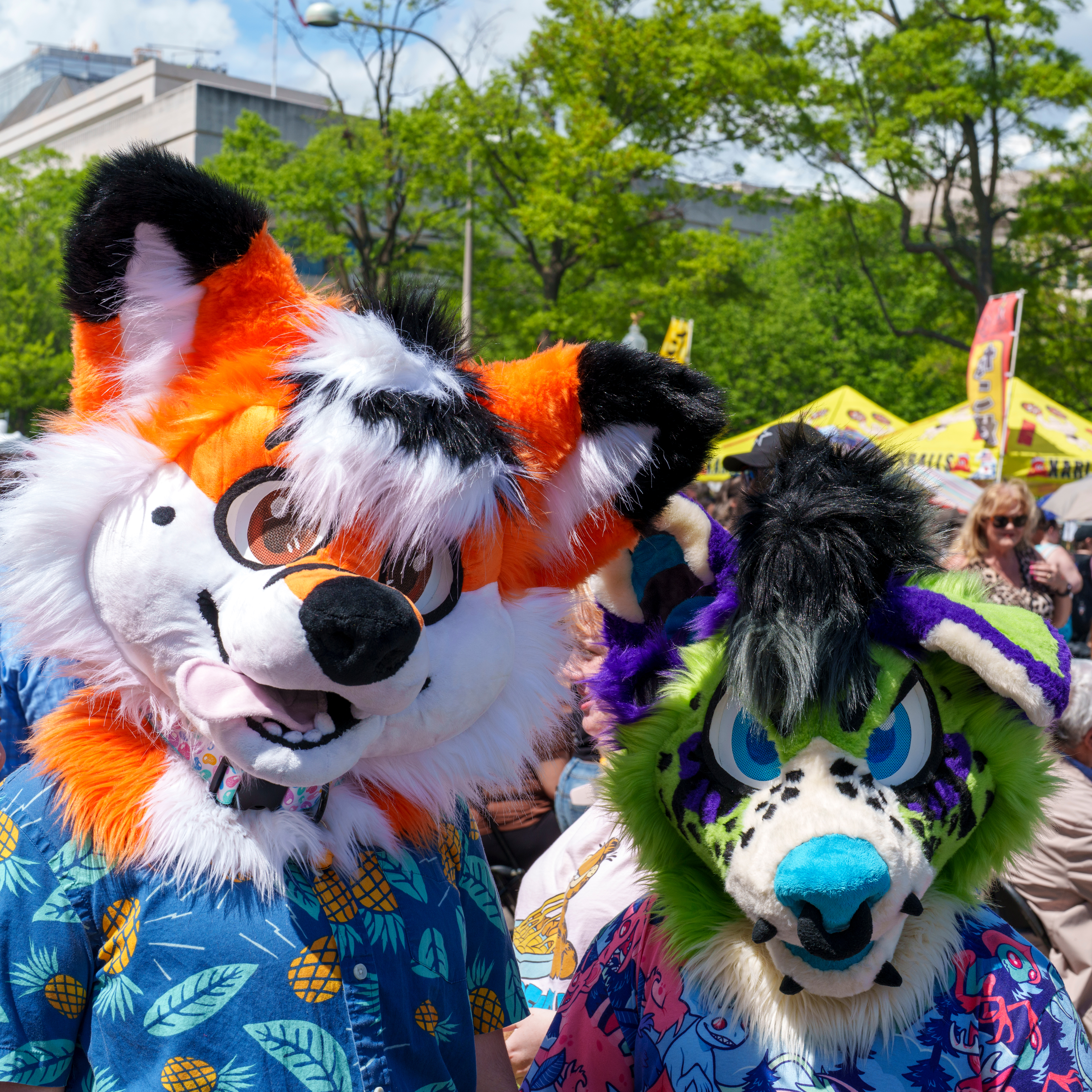 Sakura Matsuri Festival